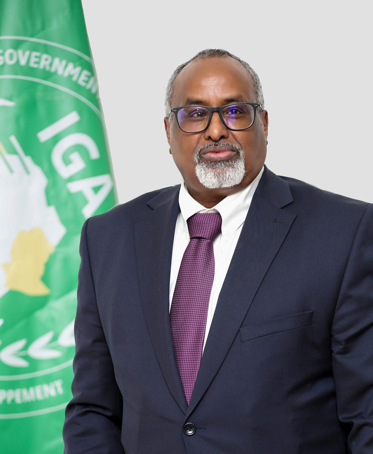 H.E. Mohamed Ware